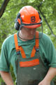 Click to see it big Ich mit Kettensäge, Impression aus dem Wald